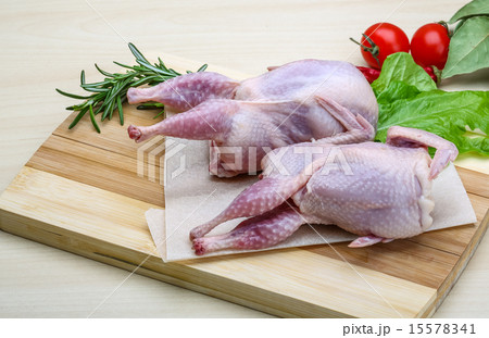 Raw quail ready for cooking Raw quail ready for cooking 15578341