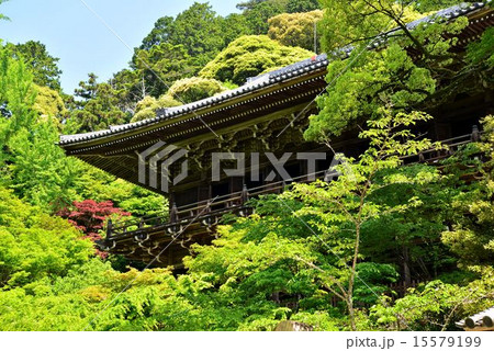 新緑の摩尼殿 新緑の摩尼殿 15579199