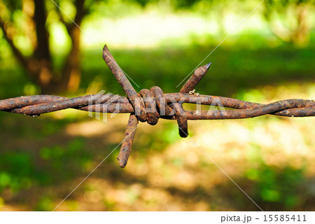 Barbed wire 15585411