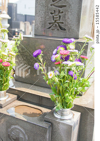 お墓 15585442