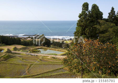 日本海の秋 15585701
