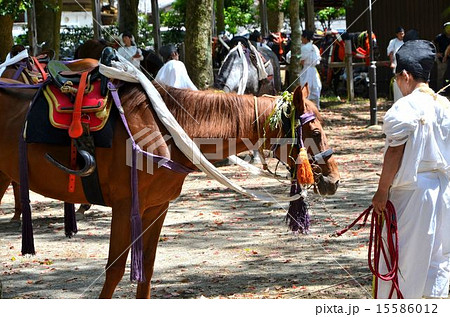 京都 上賀茂神社の競馬会神事(くらべうまえしんじ) 京都 上賀茂神社の競馬会神事(くらべうまえしんじ) 15586012