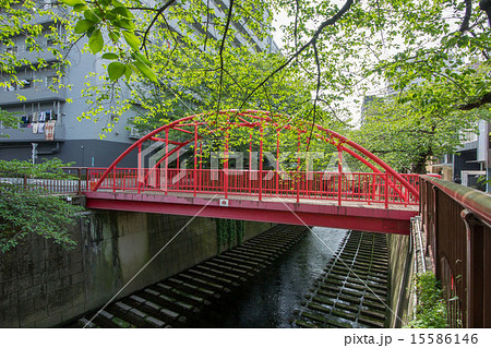 なかのはし なかのはし 15586146