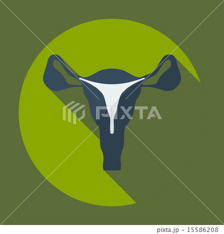 Flat modern design with shadow icons uterus Flat modern design with shadow icons uterus 15586208