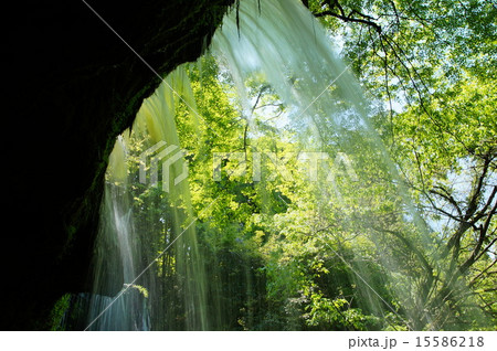 新緑の鍋ヶ滝 15586218