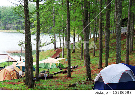 飯綱高原　大座法師池 15586698