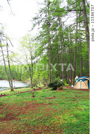 飯綱高原　大座法師池 15586707