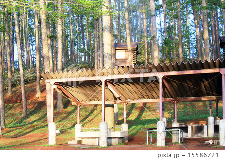 飯綱高原　大座法師池 15586721