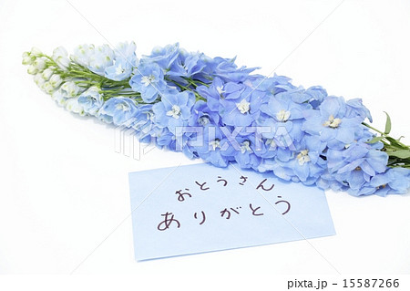 青い花とメッセージカード 15587266