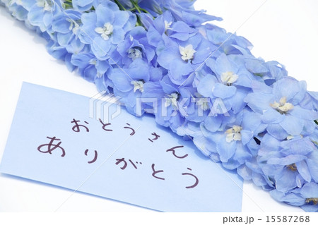 青い花とメッセージカード 15587268
