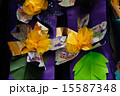七夕飾り 15587348