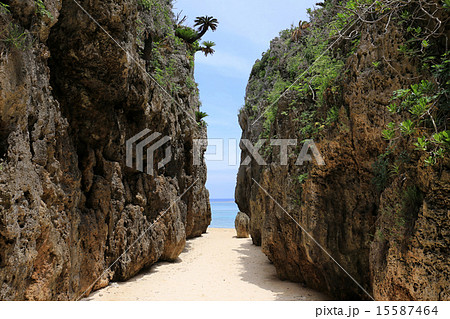 パワースポット 15587464