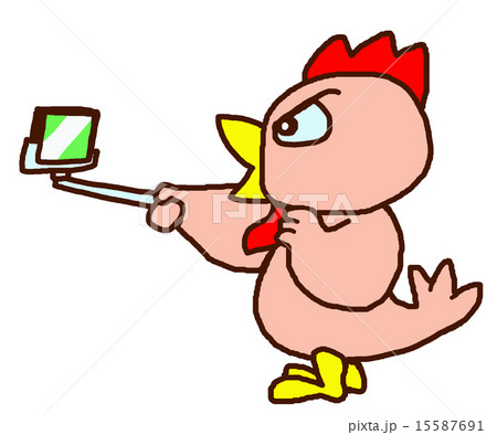 自撮り鳥くんのイラスト素材