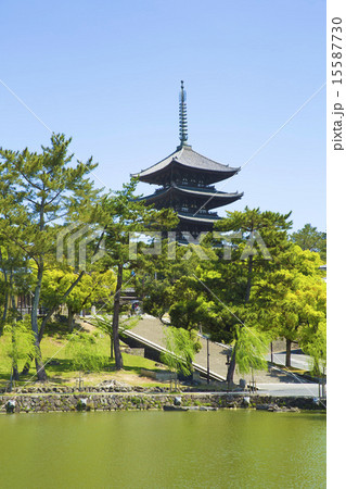 猿沢池と興福寺 15587730