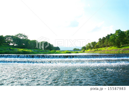 夏の賀茂川 15587983