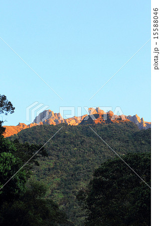 ボルネオ・キナバル山 ボルネオ・キナバル山 15588046