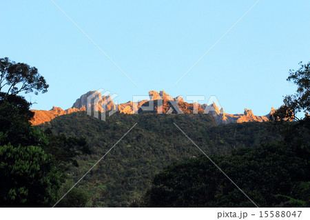 ボルネオ・キナバル山 ボルネオ・キナバル山 15588047