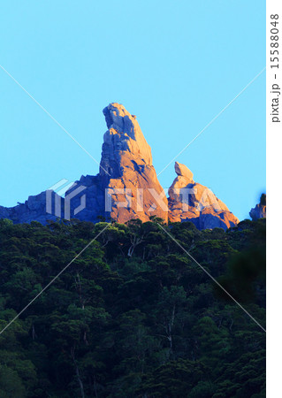 ボルネオ・キナバル山 ボルネオ・キナバル山 15588048