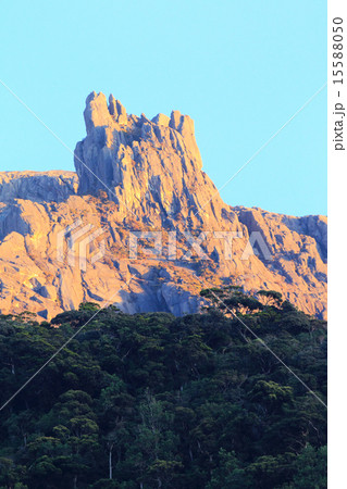 ボルネオ・キナバル山 ボルネオ・キナバル山 15588050