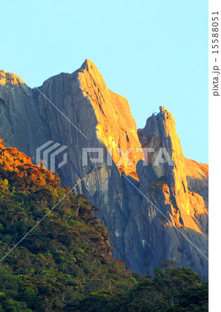 ボルネオ・キナバル山 15588051