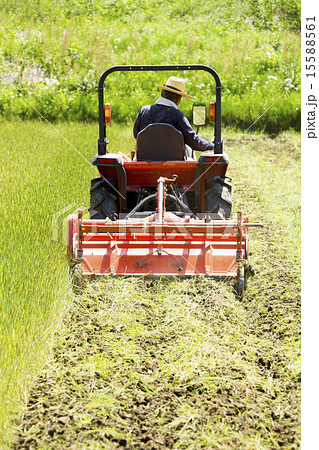 耕運機で耕す農地 15588561