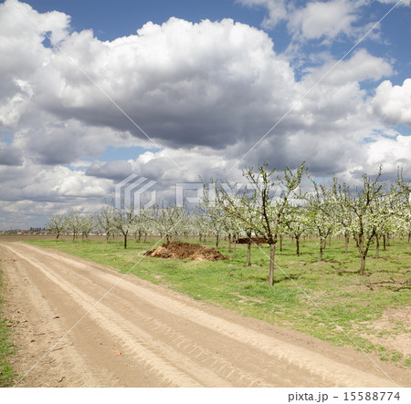 Agriculture Agriculture 15588774