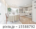 Elegant classical kitchen 15588792