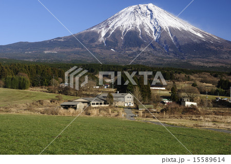 農場と富士山／静岡県　富士宮市 15589614