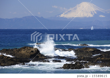 駿河湾の富士山／神奈川県　横須賀市 15589615