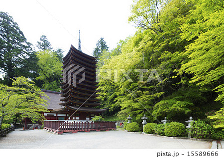春の奈良談山神社 15589666