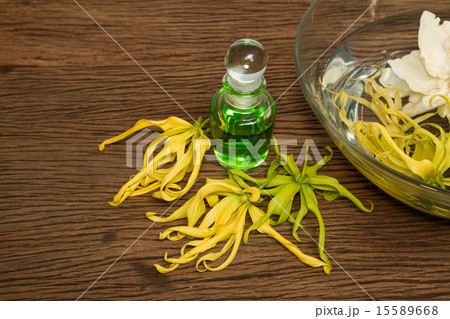 Thai essential massage oil and ylang-ylang flower 15589668