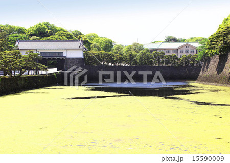 皇居 坂下門 皇居 坂下門 15590009