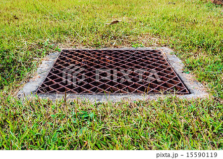 Rusted iron drain and green grass in the garden . Rusted iron drain and green grass in the garden . 15590119