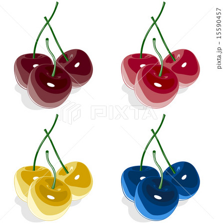 Sweet cherry multicolored isolated on white Sweet cherry multicolored isolated on white 15590457