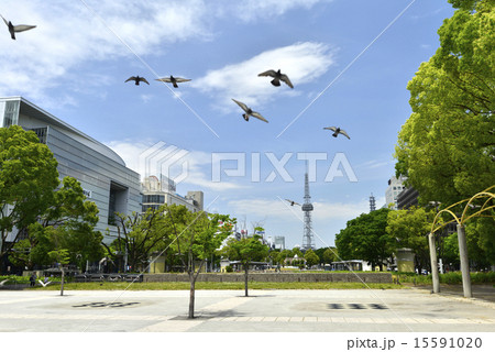 名古屋市・栄、エンゼル広場 15591020
