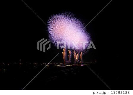 江戸川花火大会 15592188