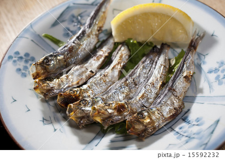 めざし めざし 15592232
