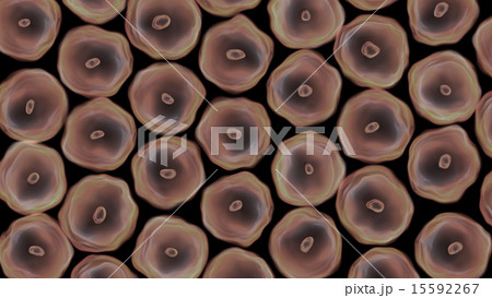 bad cells together 15592267