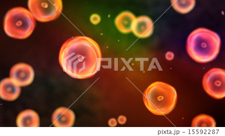 color cells focus 15592287