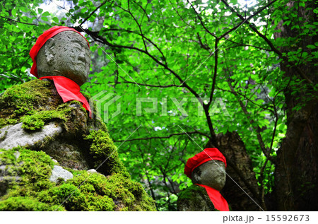 慈光寺の杉並木（新潟県） 15592673