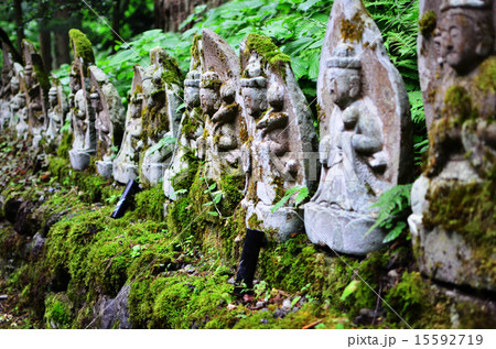 慈光寺の杉並木（新潟県） 15592719