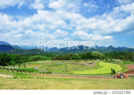 芦沢高原ハーバルパーク（阿賀町） 15592796