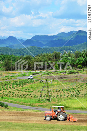 芦沢高原ハーバルパーク(阿賀町) 芦沢高原ハーバルパーク(阿賀町) 15592797