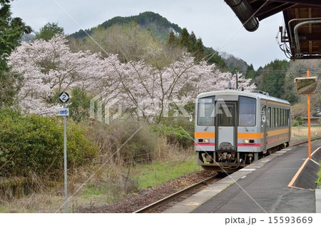 春の美作追分駅 春の美作追分駅 15593669
