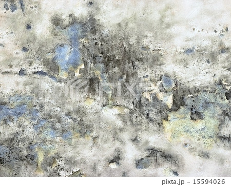 abstract background old moldy wall 15594026