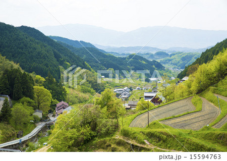 奈良県明日香村の田園風景 15594763