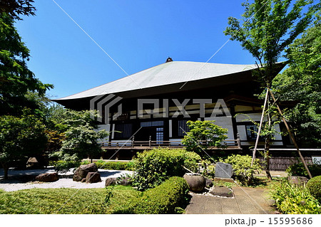 九品仏 浄真寺 本堂 ・ 中庭 ( 東京都 世田谷区 奥沢 ) 九品仏 浄真寺 本堂 ・ 中庭 ( 東京都 世田谷区 奥沢 ) 15595686