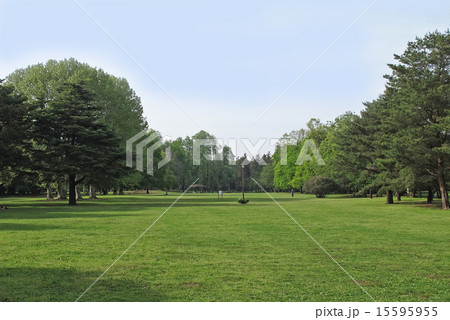 野川公園 15595955