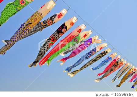 こいのぼり 15596367