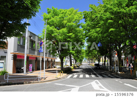 船橋市、新京成、高根公団駅前通り 15596376